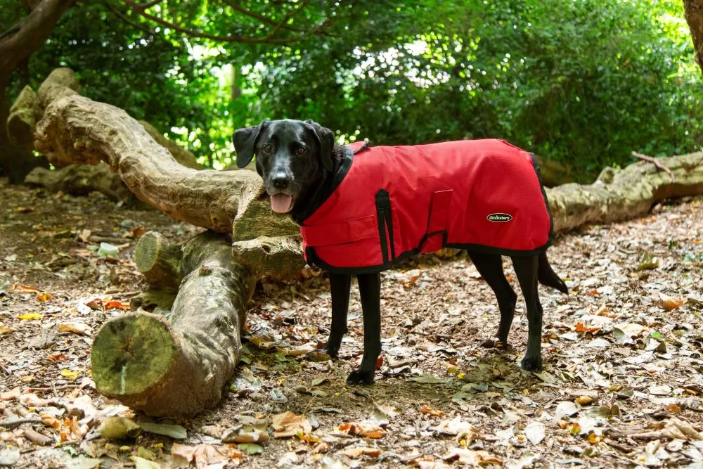 All Seasons Waterproof Dog Coat in Red