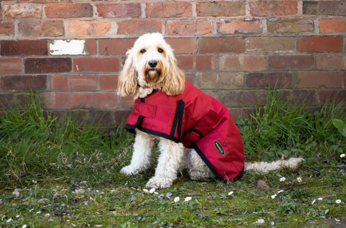 All Seasons Waterproof Dog Coat in Red