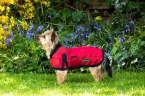 All Seasons Waterproof Dog Coat in Red