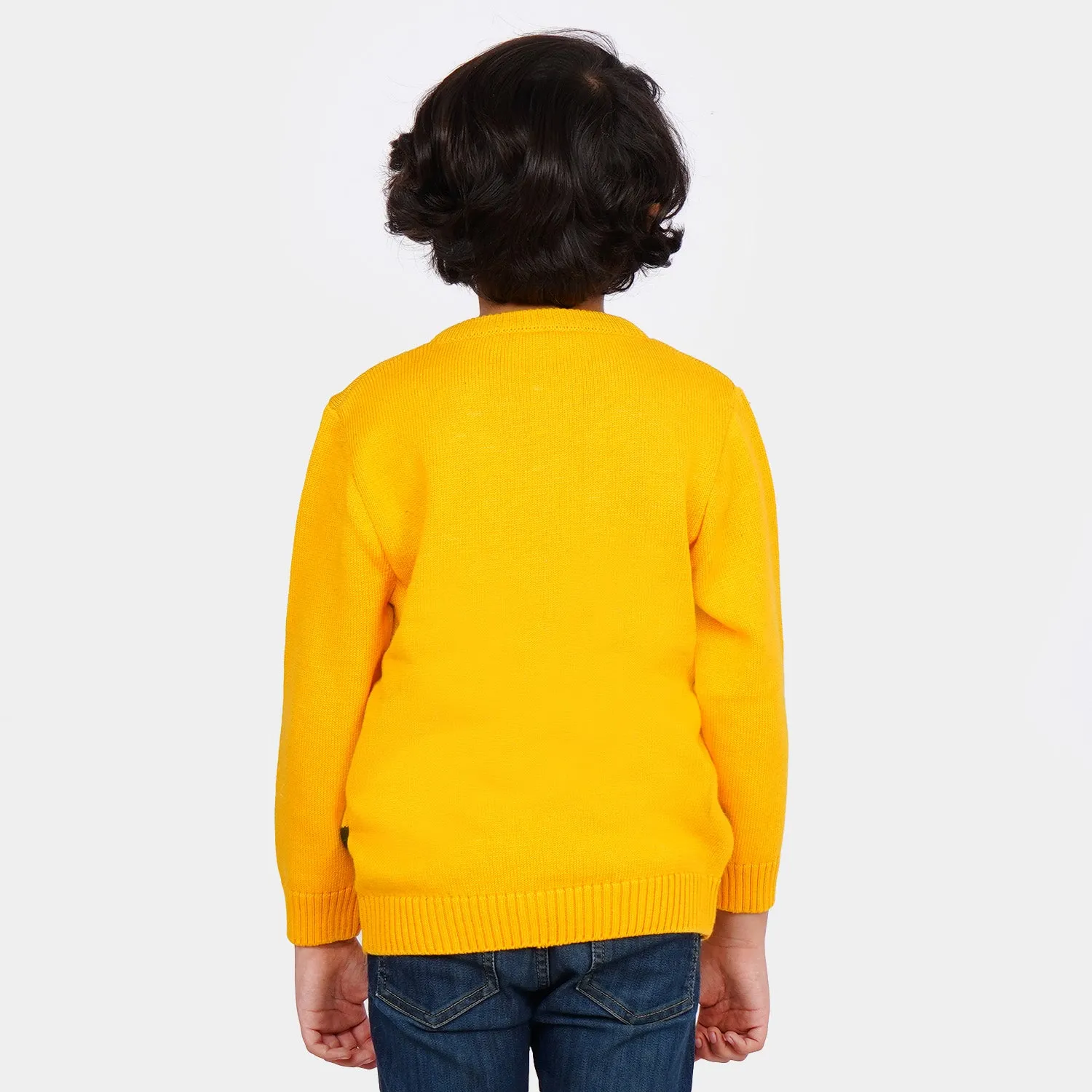 Boys Sweater Lion - Mustard